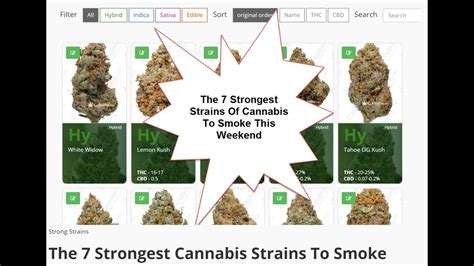 The 7 Strongest Cannabis Strains On Earth Youtube