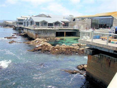 Hours, address, monterey bay aquarium reviews: Monterey Bay Aquarium Delivers More Than Iconic Design ...