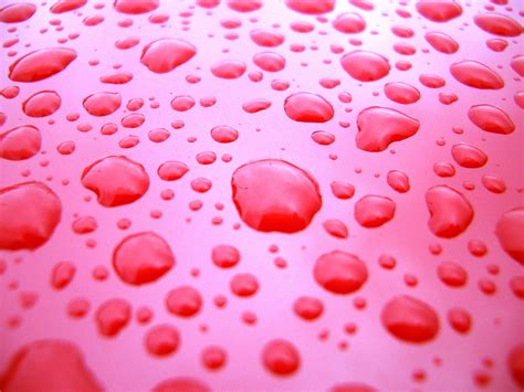 Water Drops Red Free Photo Download Freeimages