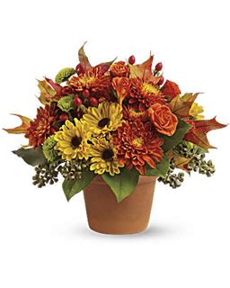 Check spelling or type a new query. Gaylord MI Florist - Flower Delivery Rosemary & Pepper ...