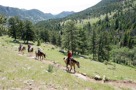 Estes Park Trail Riding At The National Park Gateway Stables