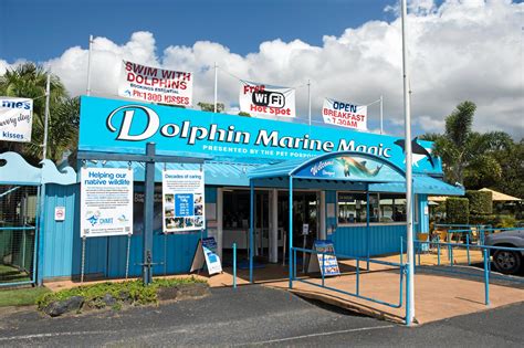 Dolphin Marine Magic Fires Back At Claims Of Misconduct Coffs Coast