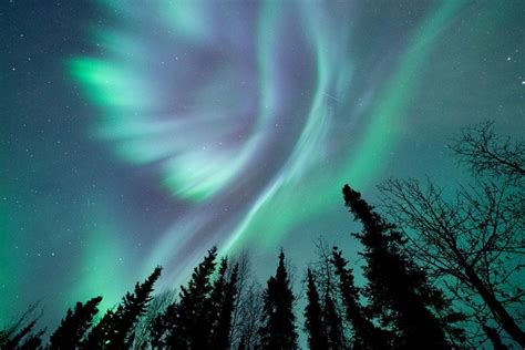 Chasing The Aurora Borealis In Alaska Aurora Borealis See The