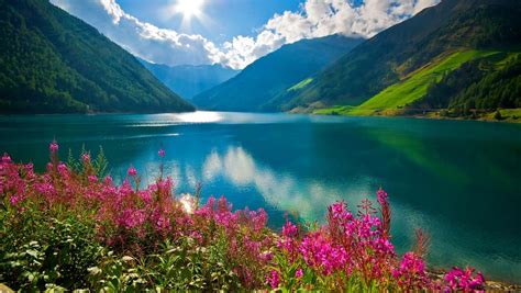 South Tyrol Lake Flowers 1360 X 768 Paysages Magnifiques Paysage