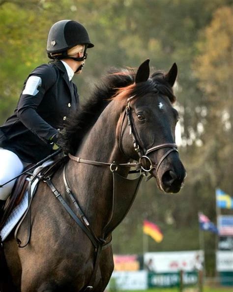 1000+ images about A Equestrian♡ on Pinterest | Arabian horses ...