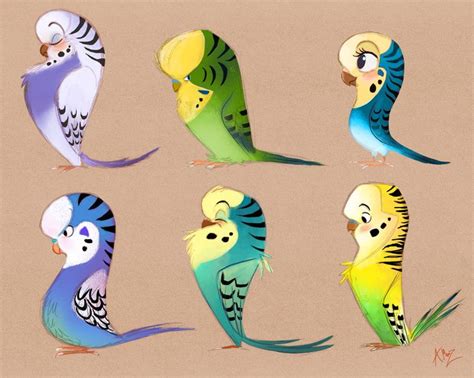 By Abigail Muñoz With Images Parakeet Art Bird