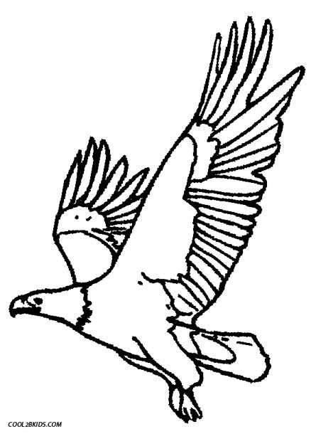 Free kids coloring pages animal coloring pages free printable coloring pages colouring pics coloring sheets coloring books desert animals line drawing bald eagle. Printable Eagle Coloring Pages For Kids
