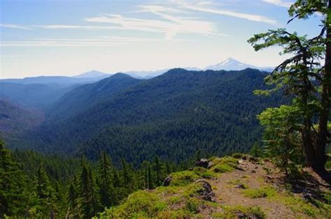 Battle Ax Creek Loop Hike Hiking In Portland Oregon And Washington