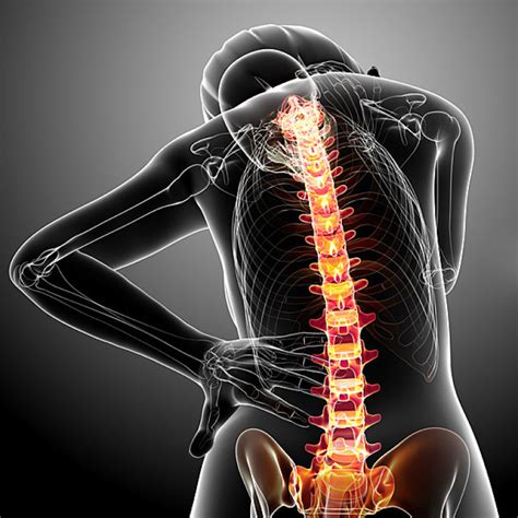 Spinal Cord Compression Injuries A List Of Symptoms And Treatments