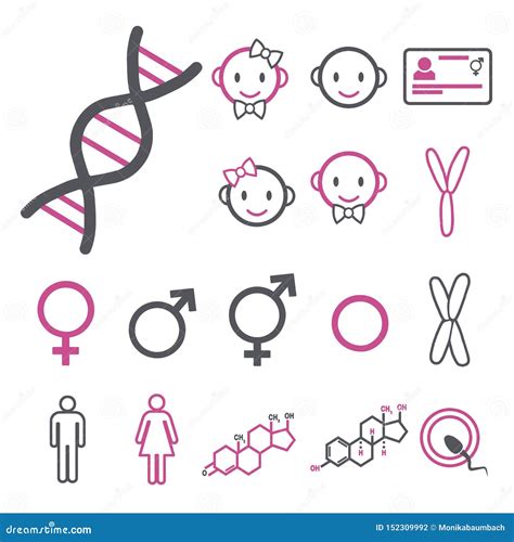 Vector Icon Set For Creating Infographics Related To Gender Transgender And Intersex Like Dna