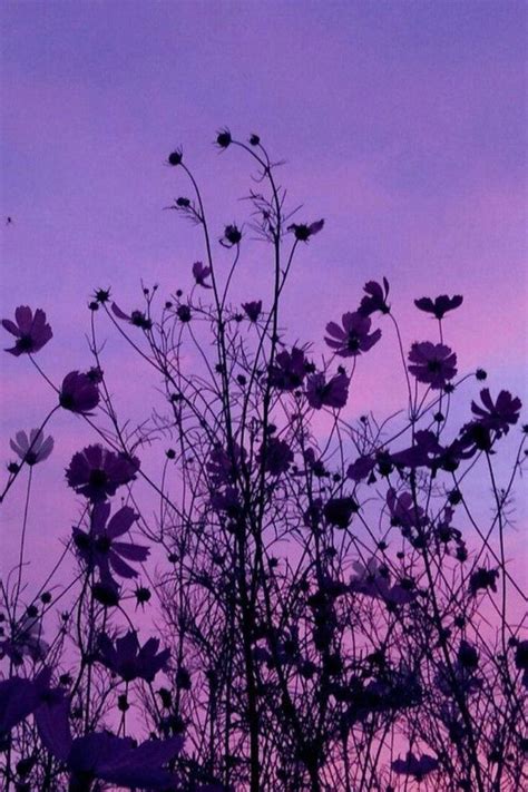 Aesthetic Deep Purple Lavender Violet Aesthetic Photo Wall Etsy In