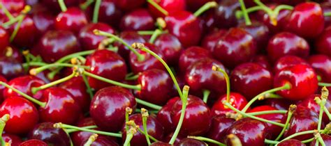 Cherry Varieties Our Fruit Rainier Fruit Company