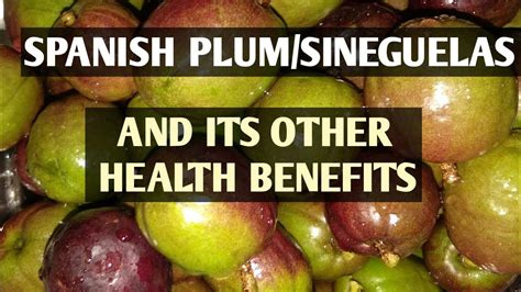 Spanish Plumsineguelas And Its Benefits Youtube