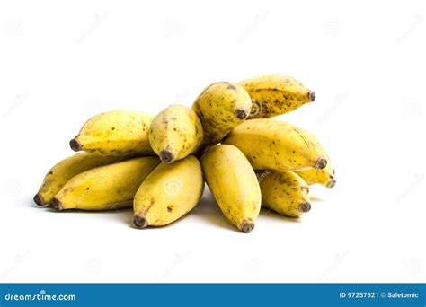 Small Tropical Banana Cluster Isolated On White Stock Image Image Of