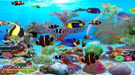 Dolphins Aquarium animated HD desktop wallpapers for ...