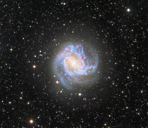 The Southern Pinwheel Galaxy Photograph By Chris Willocks