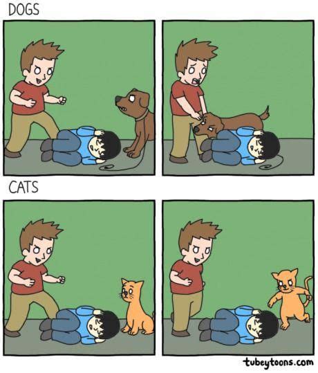 Dogs Vs Cats Funny Cartoons Funny Memes Funny Pictures