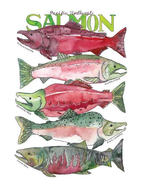 Pacific Northwest Salmon Watercolor Art Print West Coast Sea Etsy