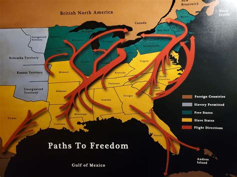 The Underground Railroad To Mexico
