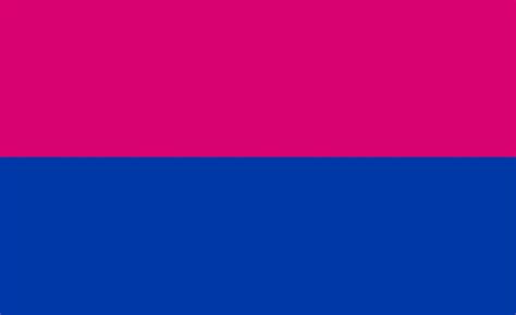 Straight Cisgendergender Binary Pride Flag 83 By Flagsforcishets On Deviantart