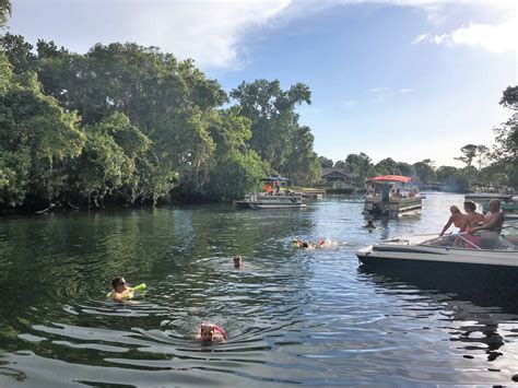 The Crystal River Scalloping And Swimming With Manatees