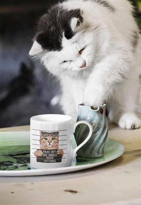 Bad Cat Ceramic Mug Mugshot In Jail Cats Funny Novelty Cat Kitten Coffee Mugs Etsy
