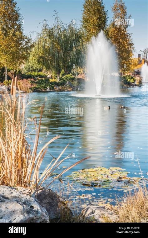 Fountains On The Lake Stock Photo Alamy