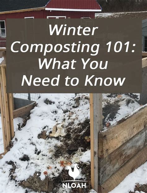 Winter Composting 101 What You Need To Know • New Life On A Homestead