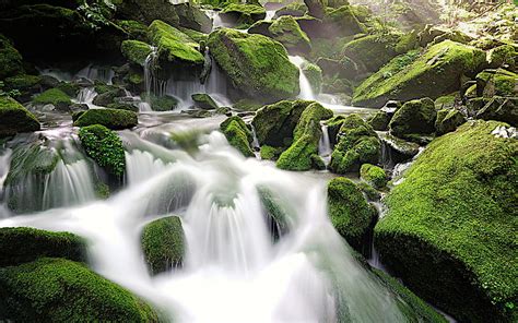 4k Free Download Rocks Moss Water Stream Nature Hd Wallpaper Pxfuel