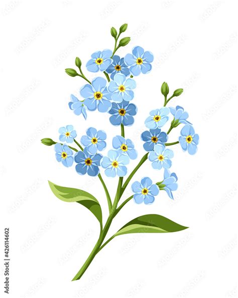 Vector Blue Forget Me Not Flowers Isolated On A White Background Stock