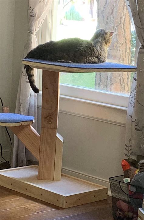 Thinking about grabbing a solid wood cat tree that has it i absolutely love this small cat tree/real wood cat scratch post. Real Wood Cat Tree the Sprout by JMLPets Joshua | Etsy in ...
