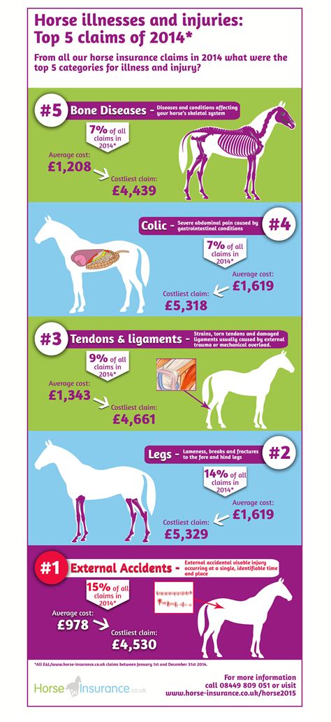Top 5 Horse Illness And Injury Claims For 2014
