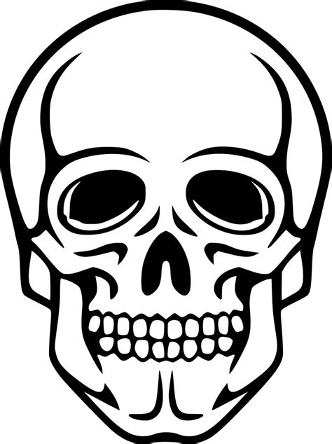 Skull Svg Png Icon Free Download (#492034) - OnlineWebFonts.COM
