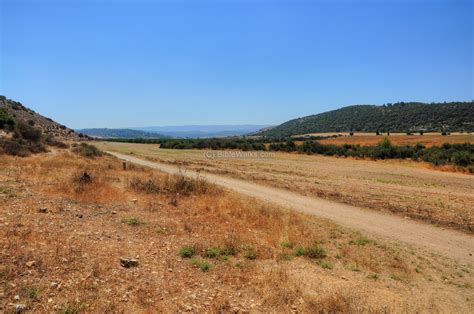 The Valley Of Elah