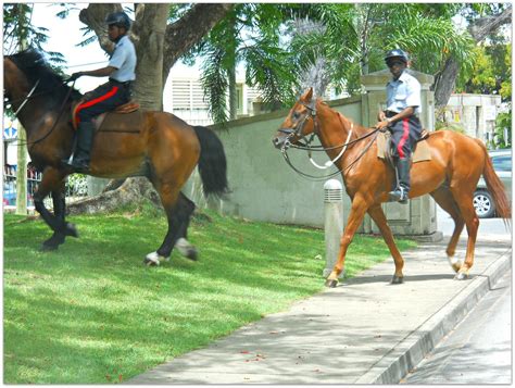 dscn0751 mounted police royal barbados police force flickr