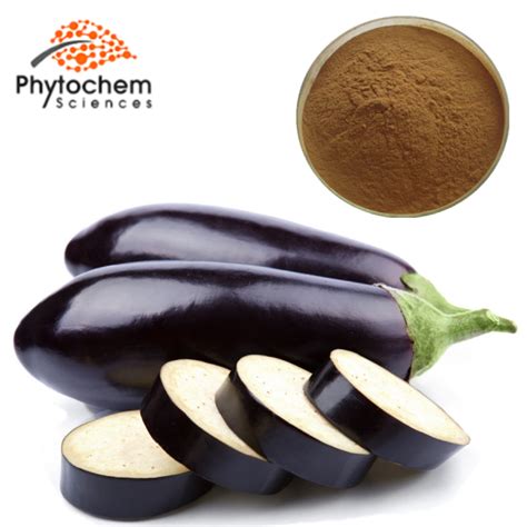 Eggplant Extract Supplement Health Benefits For Anti Cancer