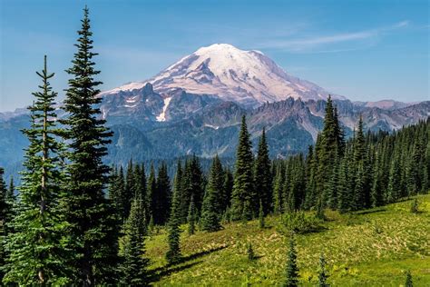 17 Breathtaking Hikes In Mount Rainier National Park Washington