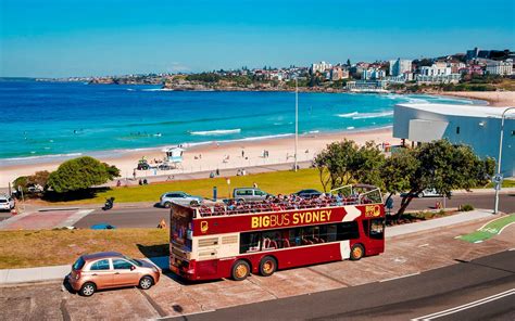 Big Bus Sydney 1 Or 2 Day Hop On Hop Off Sightseeing Tour Get The