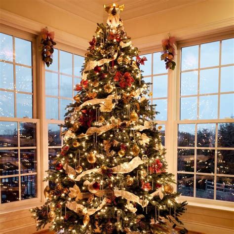 Lista 105 Foto El árbol De Navidad Más Grande Del Mundo Alta Definición Completa 2k 4k