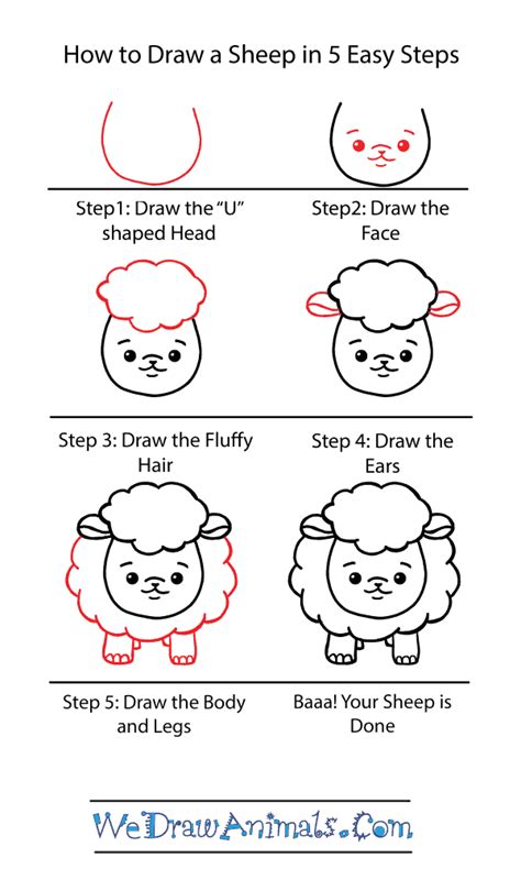 How To Draw A Sheep Step By Step