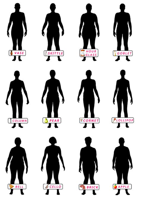 88 Info Body Shape Size 12 With Video Tutorial Bodyshape