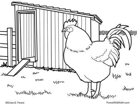 At a total population of 19 billion chickens in the world, there are more chickens than dogs! Crista Forest's Animals & Art: Children's Coloring Page ...