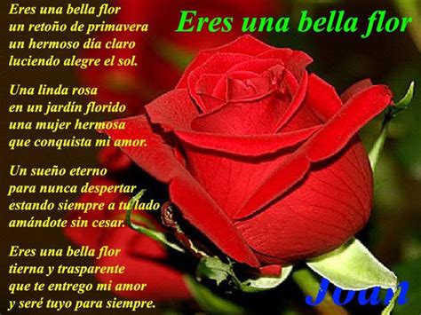 Rosas Con Poemas De Amor Para Celular Poemas De Rosas Poemas De Amor