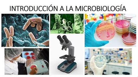 Que Estudia La Microbiología