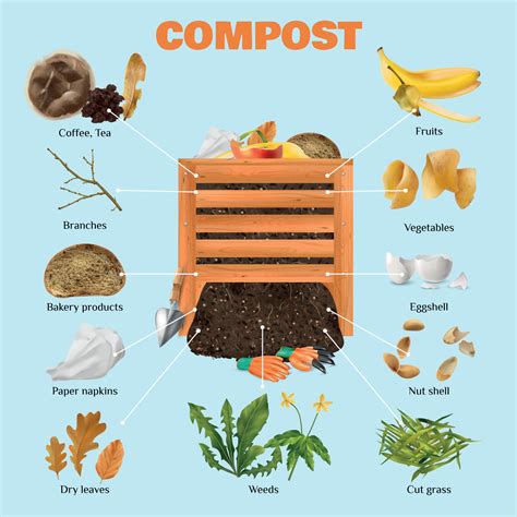 Compost Realistic Composition 10366832 Vector Art At Vecteezy