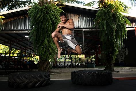 tiger muay thai s rise from humble gym to global juggernaut one championship the home of