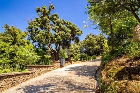 Stone Path In The Park Walkway Surrounded By Trees Stock Photo Image