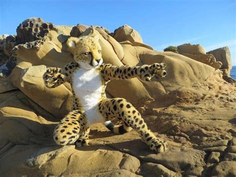 Top 10 Most Expensive Fursuits in History - Expensive World