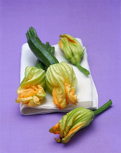 Check spelling or type a new query. Come cucinare i fiori di zucca | Sale&Pepe