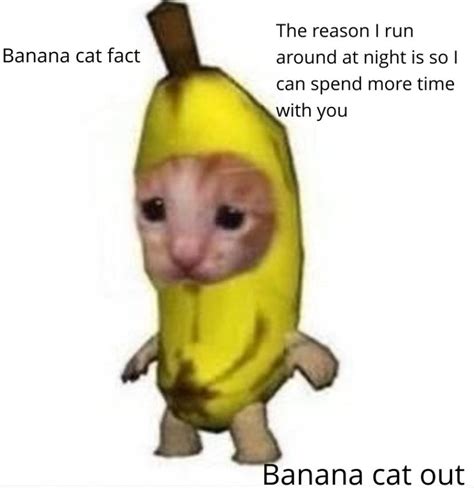 Very Cool Banana Cat Rmemes